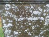image of grave number 711149
